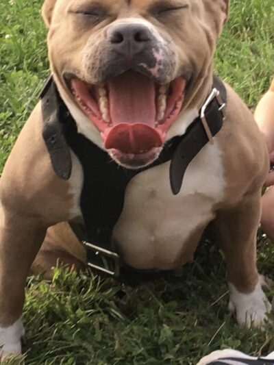 Monkiewicz - Philadelphia, PA