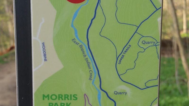 Morris Park - Philadelphia, PA