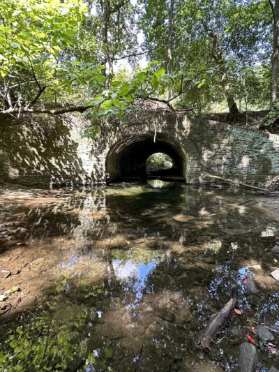 Morris Park - Philadelphia, PA