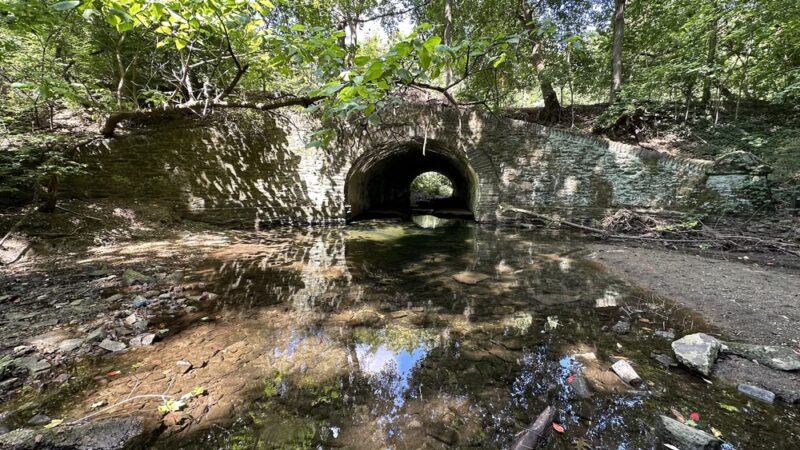 Morris Park - Philadelphia, PA