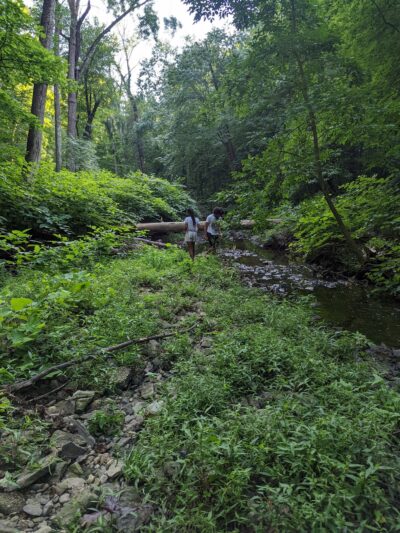 Morris Park - Philadelphia, PA