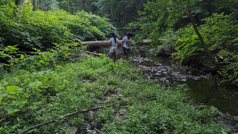 Morris Park - Philadelphia, PA