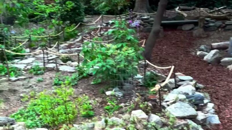 Orkney Park - Philadelphia, PA