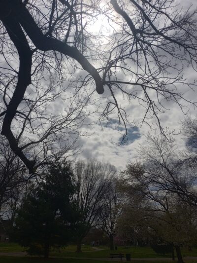 Overington Park - Philadelphia, PA