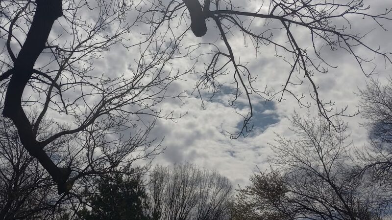 Overington Park - Philadelphia, PA