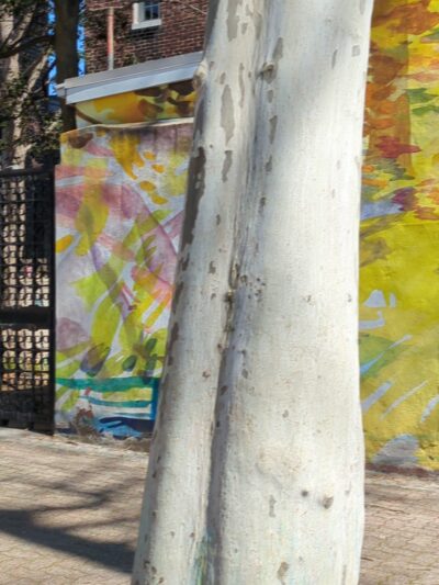 Palumbo Park - Philadelphia, PA