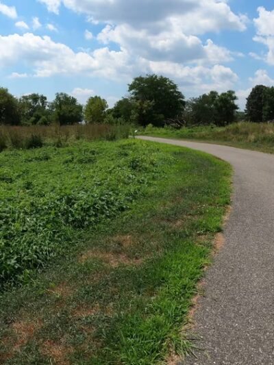 Pennypack on the Delaware - Philadelphia, PA