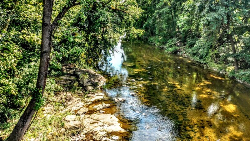 Pennypack Park - Philadelphia, PA