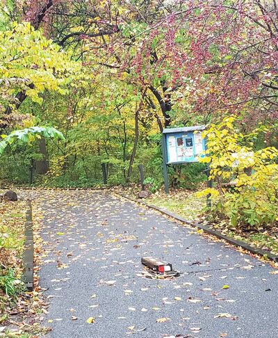Pennypack Park - Verree Road Parking Area - Philadelphia, PA
