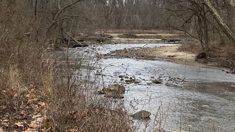 Pennypack Park - Verree Road Parking Area - Philadelphia, PA