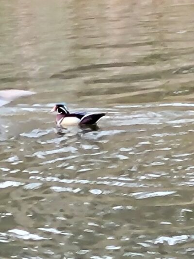 Pennypack Park - Verree Road Parking Area - Philadelphia, PA