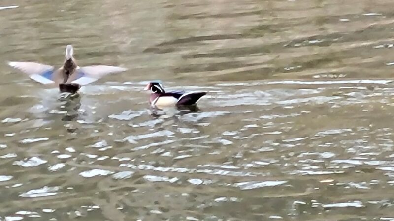 Pennypack Park - Verree Road Parking Area - Philadelphia, PA