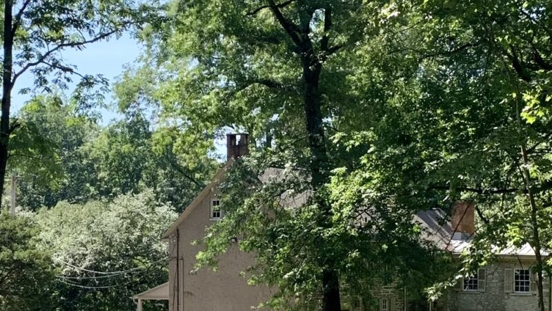 Pennypack Park - Verree Road Parking Area - Philadelphia, PA