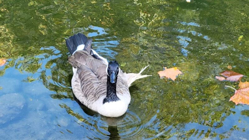Pennypack Park - Verree Road Parking Area - Philadelphia, PA