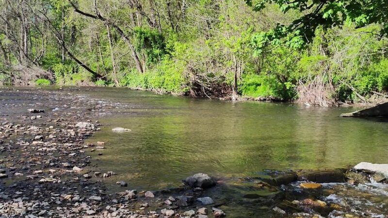 Pennypack Pavilion - Philadelphia, PA