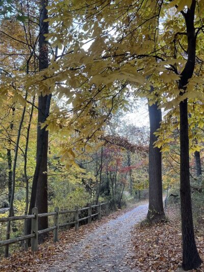 Pennypack Trail Parking - Philadelphia, PA