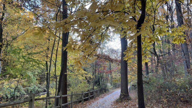 Pennypack Trail Parking - Philadelphia, PA
