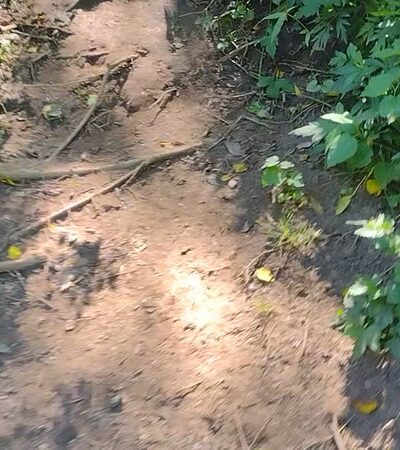 Pennypack Trail Parking - Philadelphia, PA