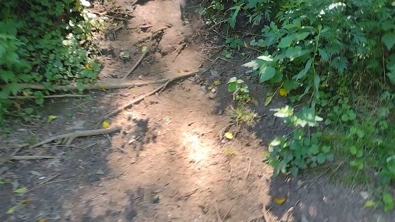 Pennypack Trail Parking - Philadelphia, PA