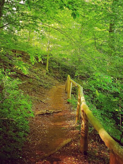 Pennypack Trail Parking - Philadelphia, PA