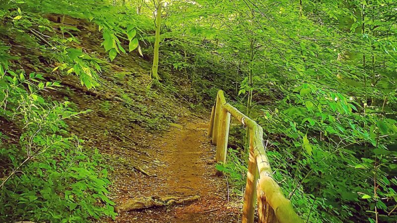 Pennypack Trail Parking - Philadelphia, PA