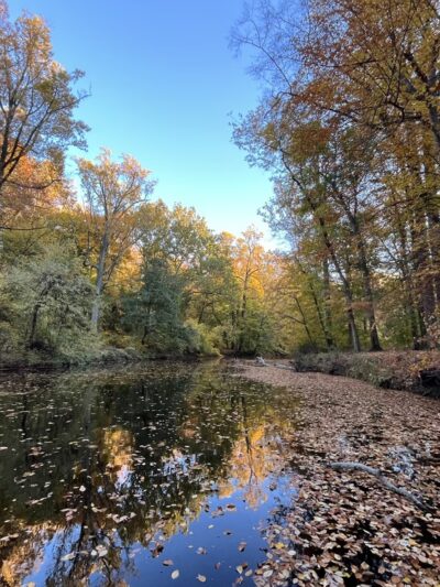 Pennypack Trail Parking - Philadelphia, PA