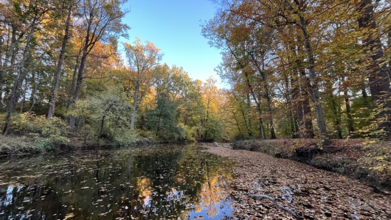 Pennypack Trail Parking - Philadelphia, PA