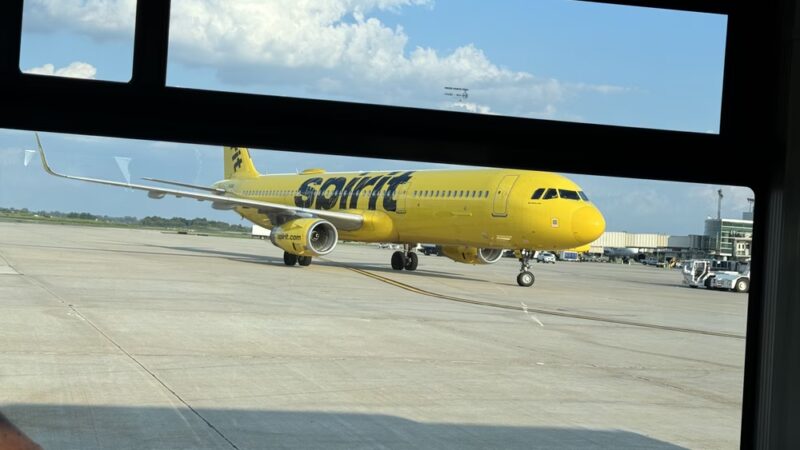 Pet Port (After Terminal E) - Philadelphia, PA