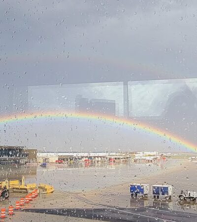Pet Port (After Terminal E) - Philadelphia, PA