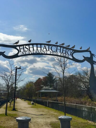 Pleasant Hill Park - Philadelphia, PA
