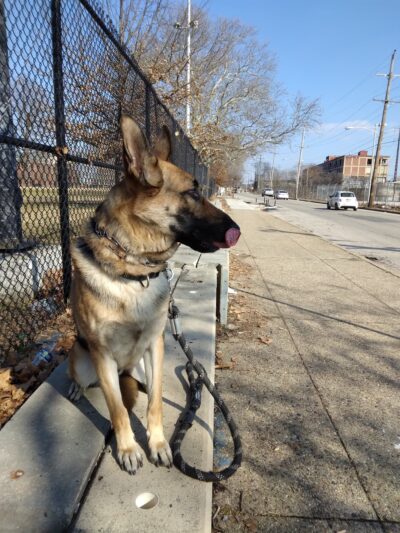 Reyburn Park - Philadelphia, PA