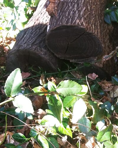 Reyburn Park - Philadelphia, PA