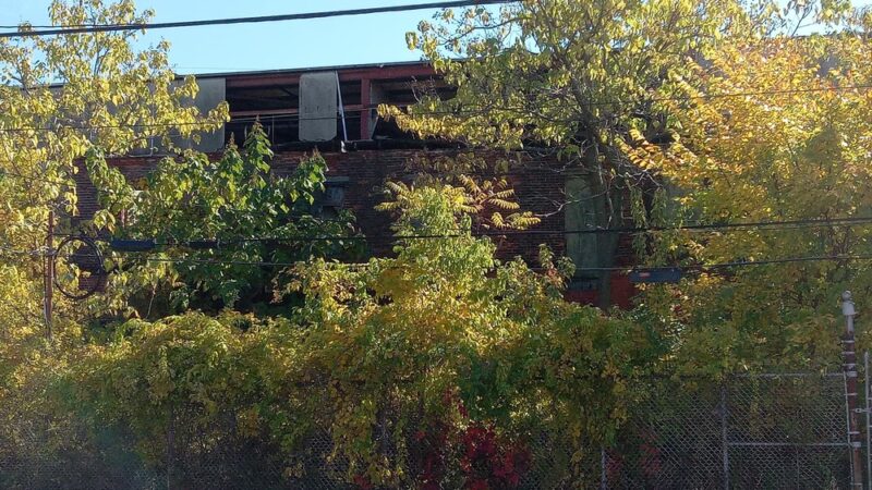 Reyburn Park - Philadelphia, PA