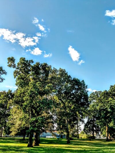 Russo Park - Philadelphia, PA