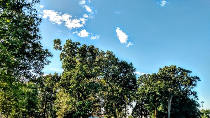 Russo Park - Philadelphia, PA