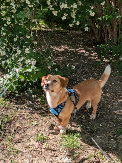 Saunders Park - Philadelphia, PA