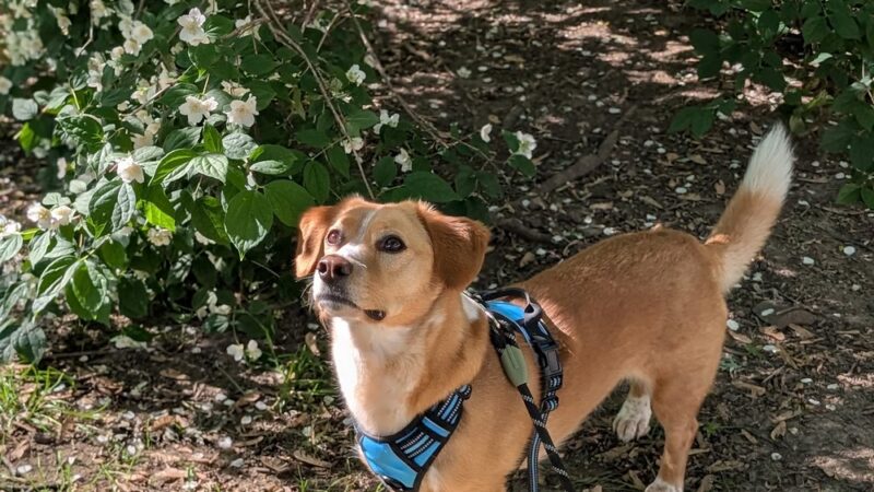 Saunders Park - Philadelphia, PA