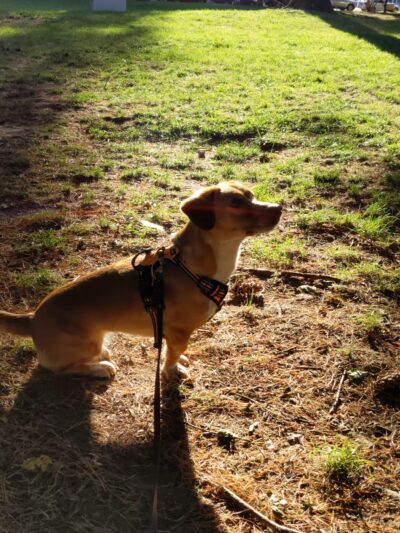 Saunders Park - Philadelphia, PA