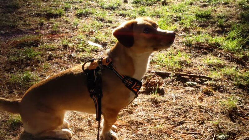 Saunders Park - Philadelphia, PA