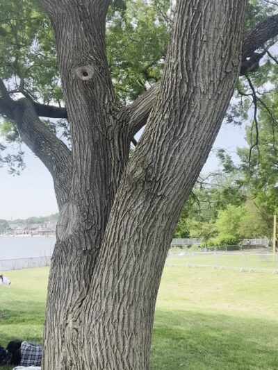 Schuylkill River Trail - Philadelphia, PA