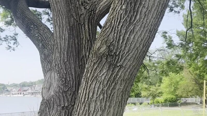 Schuylkill River Trail - Philadelphia, PA