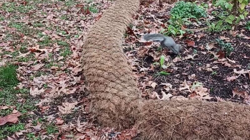 Stephen Girard Park - Philadelphia, PA