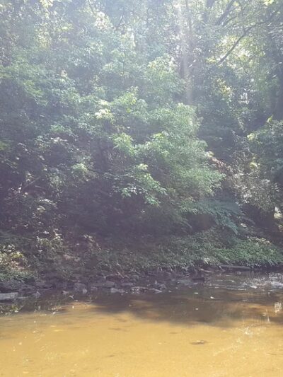 Tacony Creek Park, Bingham St. Gateway - Philadelphia, PA