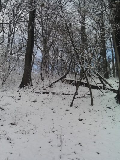 Tacony Creek Park, Bingham St. Gateway - Philadelphia, PA