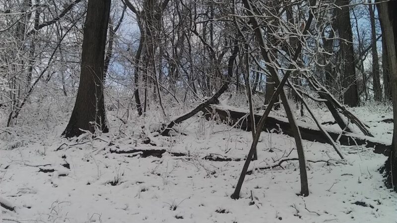 Tacony Creek Park, Bingham St. Gateway - Philadelphia, PA