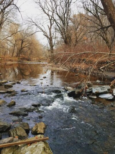 Tacony Creek Park - The Big Field - Philadelphia, PA