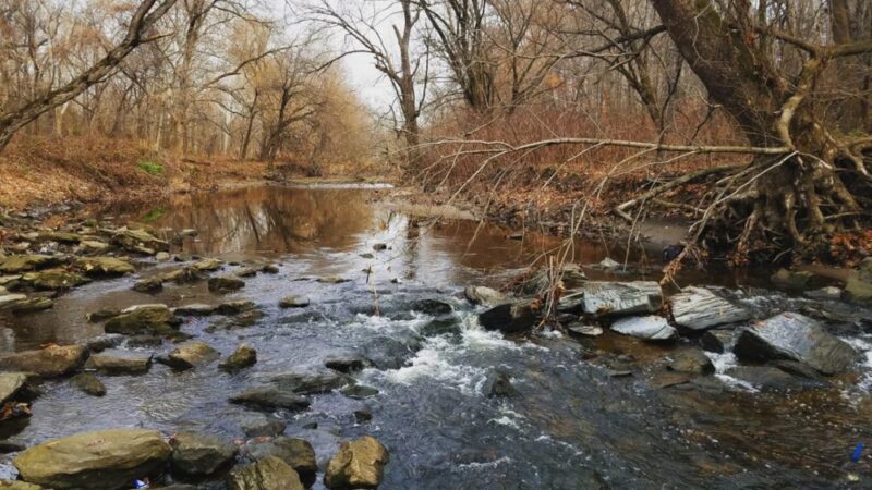Tacony Creek Park - The Big Field - Philadelphia, PA
