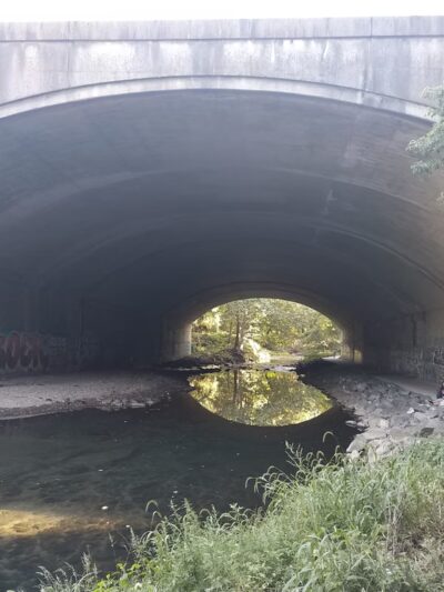 Tacony Creek Park - The Big Field - Philadelphia, PA
