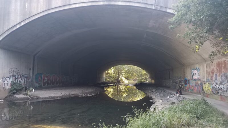 Tacony Creek Park - The Big Field - Philadelphia, PA