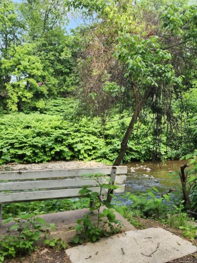 Tacony Creek Park - The Big Field - Philadelphia, PA